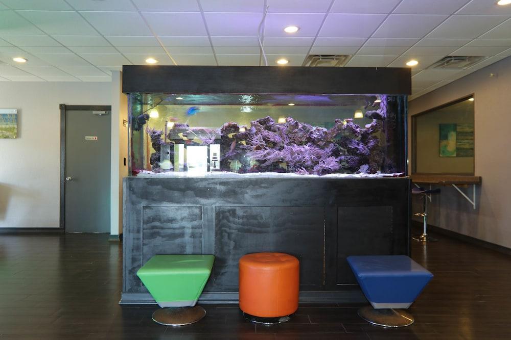 Emerald Coast Inn & Suites Форт Уолтон Бич Экстерьер фото